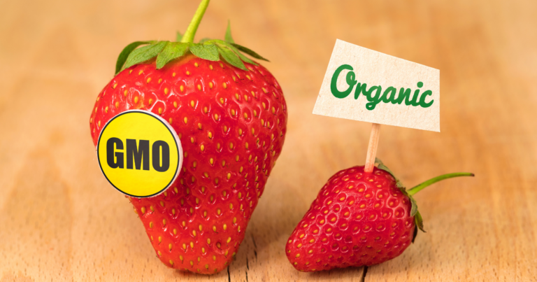 organic vs non-organic food (1)